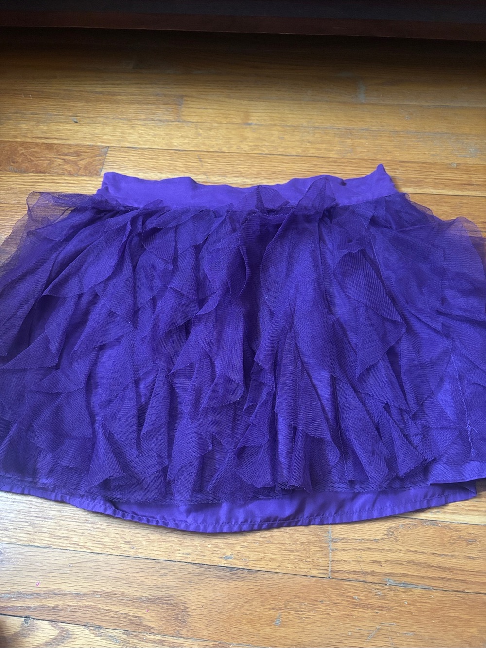 GAP Violet Layered Tulle Skirt
